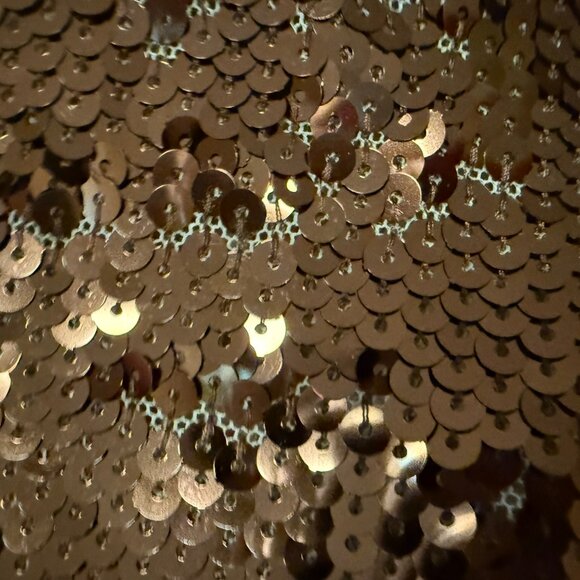 Loft Brown Sequin Front & Back - Fully Lined - Medium - Picture 6 of 9